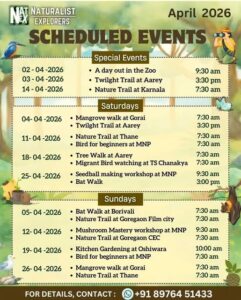 Naturalist Explorers April 2026