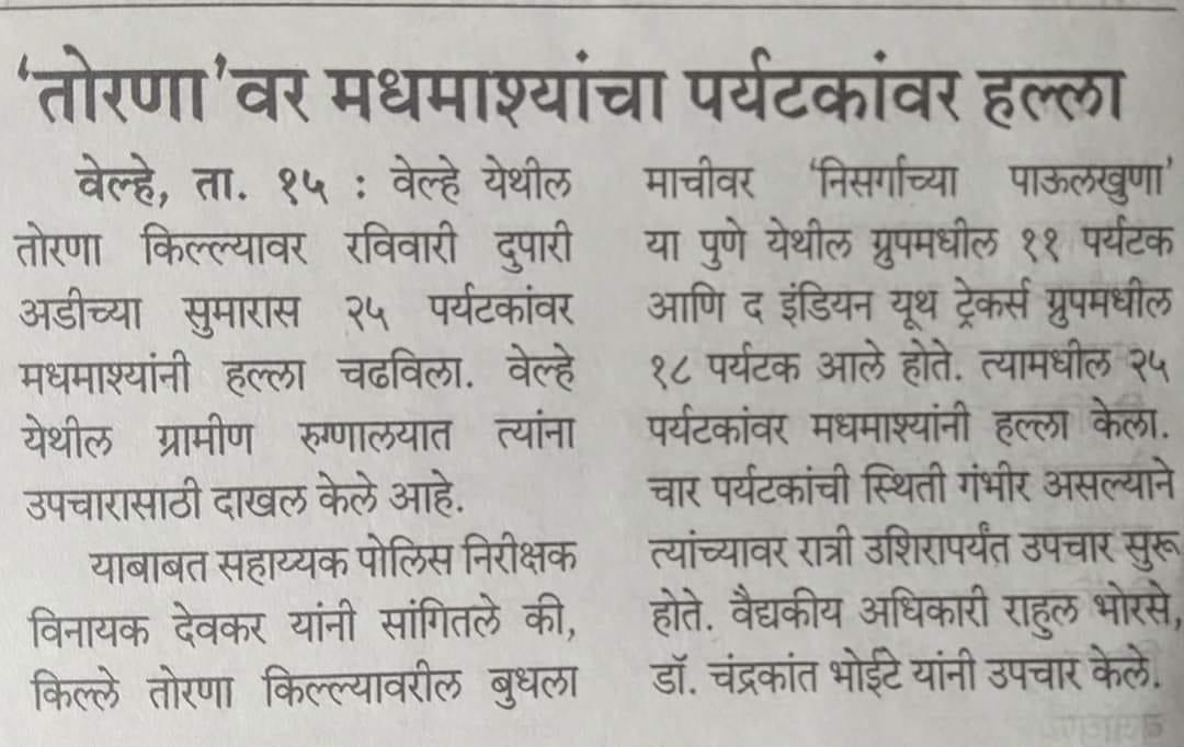 bee attack torna.jpg