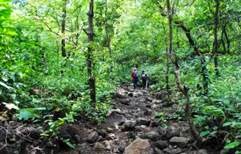 Pune treks and waterfall rappelling 29th August 2021