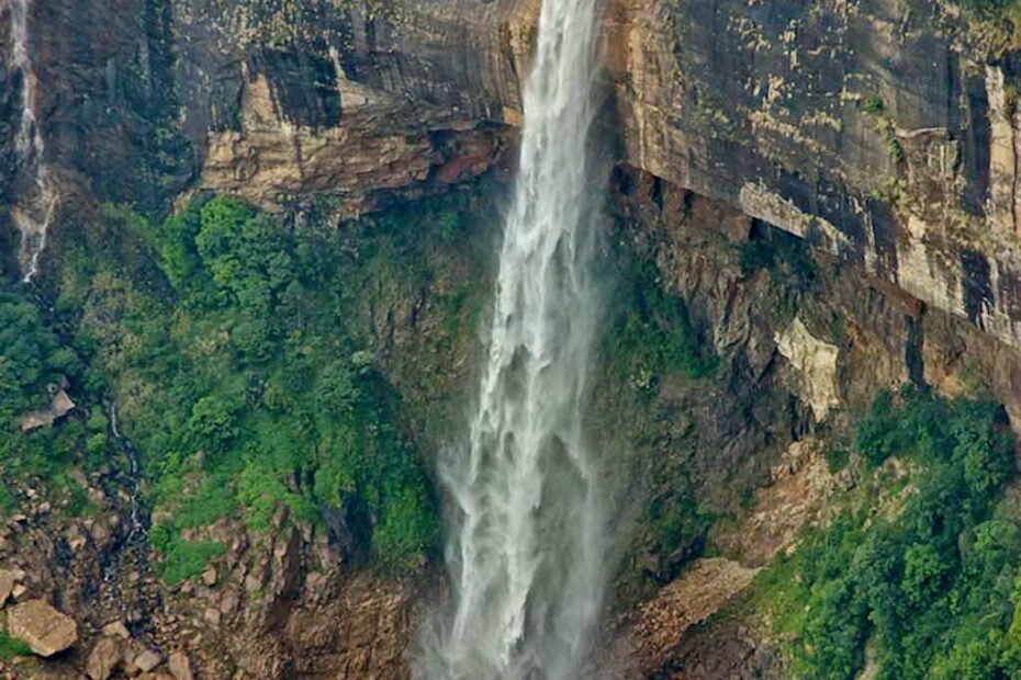 4141 image 291437298 1228922987869254 4389295687723496919 n