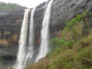 5572 image 292265485 5276963075691340 7062202009584739502 n