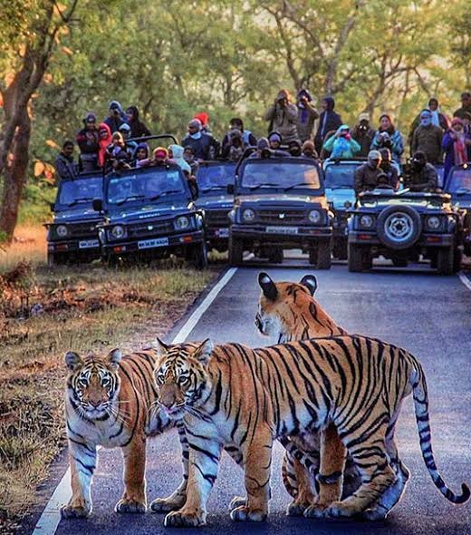 hemalkasa tour from mumbai