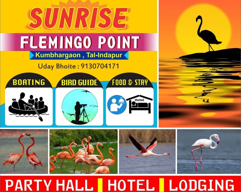 Sunrise flamingo point food and stay kumbhargaon bhigwan pune