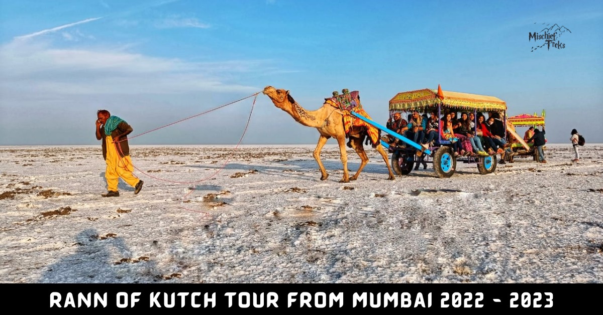 Go to Kutch Rann Utsav tour from treksandhikes