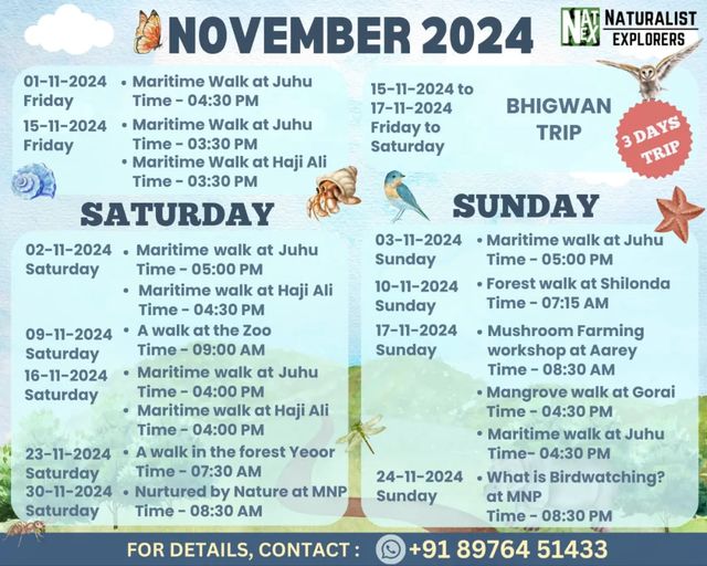 #mumbai #pune treks and trips November 2nd and 3rd 2024