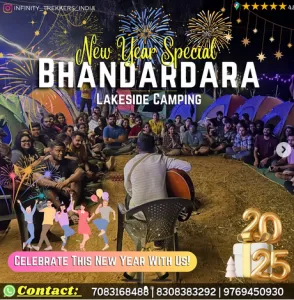 New Year camping event at Bhandardara with fireworks.