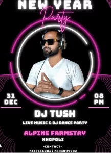 New Year's Eve DJ party poster with DJ Tush.