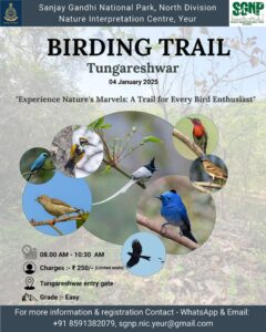 Birding trail event at Tungareshwar, January 2025
