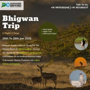 Bhigwan trip, wildlife safari, January 2025 information.