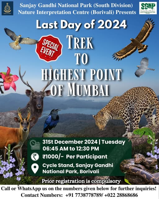 Trek to Mumbai's highest point, December 31, 2024.