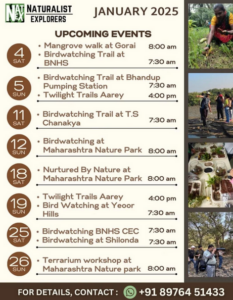 Nature events schedule for January 2025.