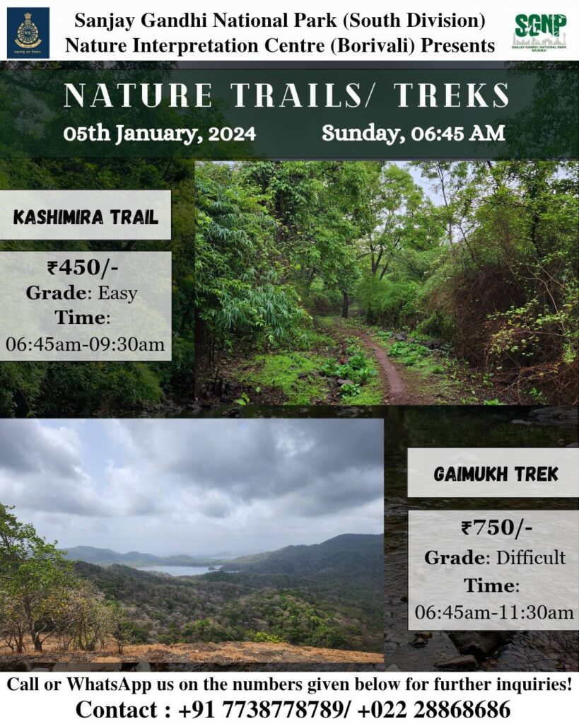 Nature treks at Sanjay Gandhi National Park.