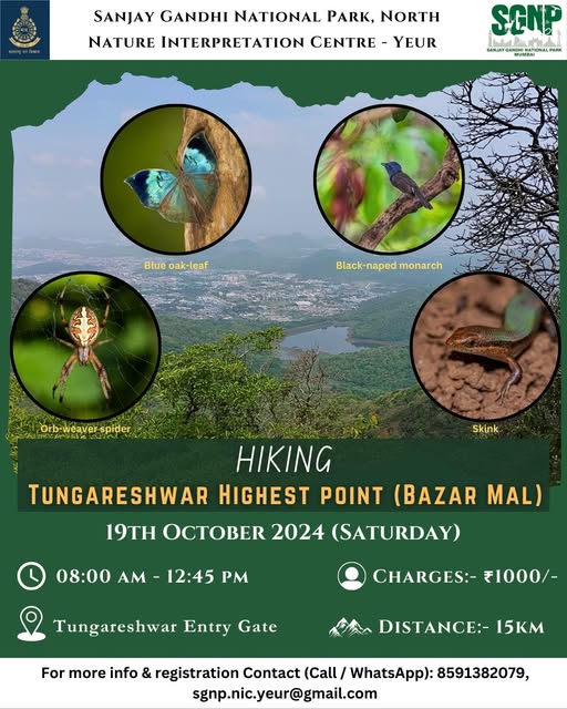 Hiking event at Tungareshwar, wildlife images included.