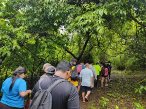 Group hiking in lush green forest trail
