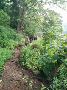 People hiking on a lush forest trail
