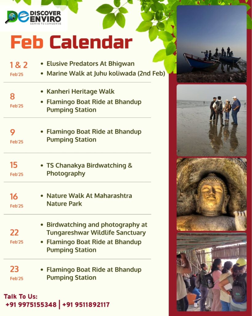 February events calendar from Discover Enviro.