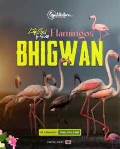 Bhigwan flamingo trip advertisement with event details.