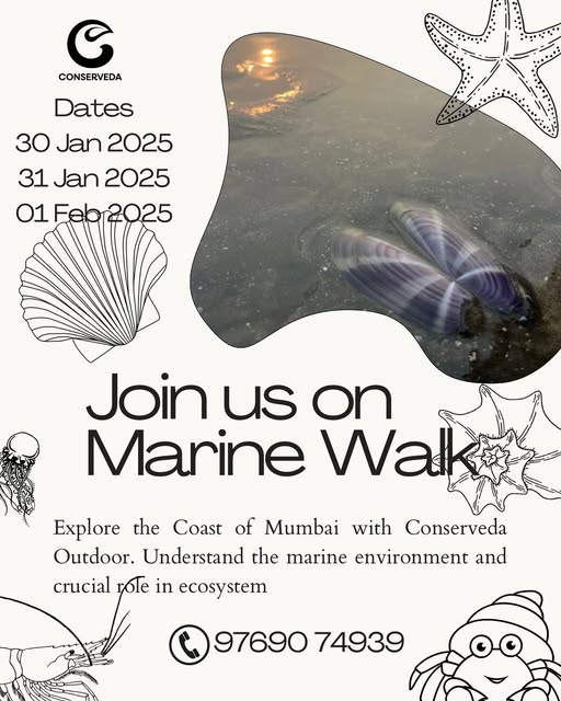 Marine walk event in Mumbai with Conserveveda.