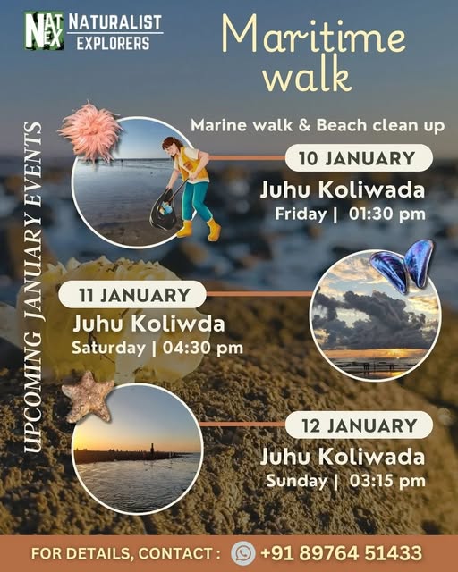 Maritime walk event at Juhu Koliwada beach.