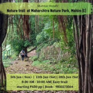 Nature trail in Maharashtra Nature Park, Mumbai.