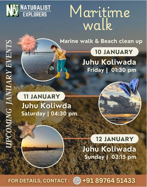 Maritime walk and beach cleanup in Juhu Koliwada.