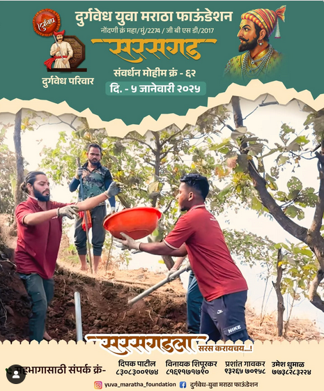 Volunteers working on a reforestation project in a forest.