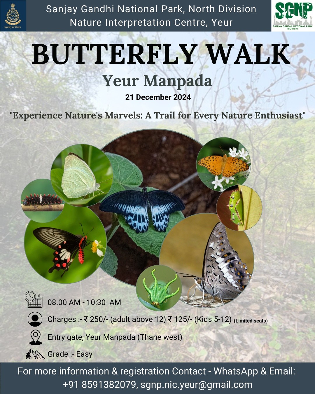 sgnp Butterfly Trail at Yeur Manpada