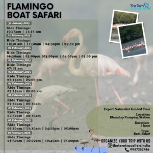 Flamingo boat safari schedule and tour details.