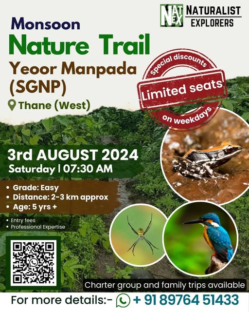 Monsoon nature trail at Yeoor Manpada, Thane, August 2024.