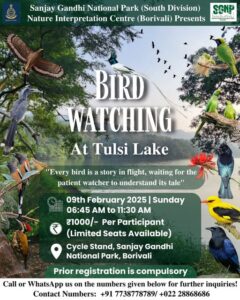 Bird watching event at Tulsi Lake, February 9, 2025.