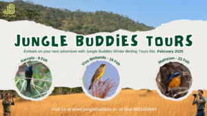 Jungle Buddies birding tours February 2025 locations.