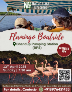 Flamingo boat ride event at Bhandup Pumping Station.