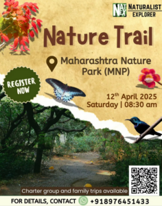 Nature trail event at Maharashtra Nature Park, April 2025.