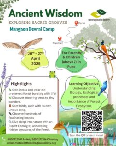 Ancient Wisdom Devrai Camp event, April 2025, Pune.