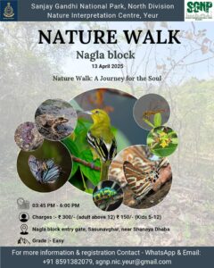 Nature walk event at Sanjay Gandhi National Park.