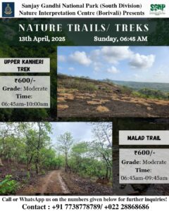 Nature trails event at Sanjay Gandhi National Park.