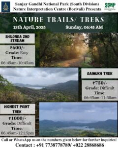 Nature treks in Sanjay Gandhi National Park, April 2025.