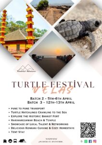 Velas Turtle Festival with activities and events