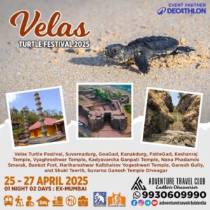 Velas Turtle Festival 2025 event details and attractions.