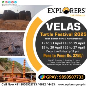 Velas Turtle Festival 2025 travel package information.