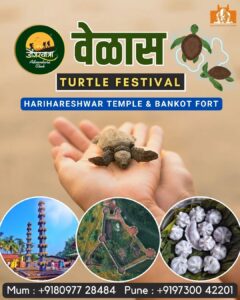 Turtle Festival information with contact numbers.
