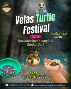 Velas Turtle Festival, Kokan trip, April 2025.