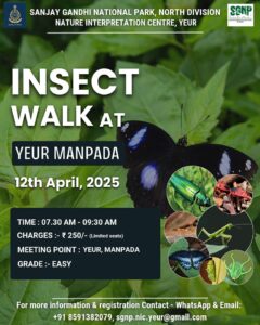 Insect walk event at Sanjay Gandhi National Park.