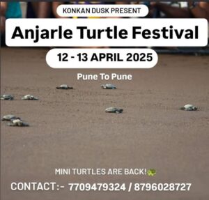 Anjarle Turtle Festival April 2025 promo image.