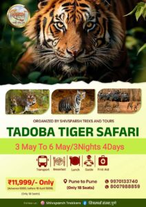 Tadoba Jungle Safari Adventure 3 Nights, 4 Days Tour