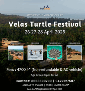Velas Turtle Festival April 2025, nature, adventure event.