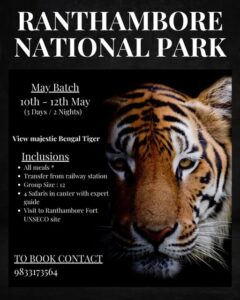 Ranthambore National Park tiger tour May 10-12.