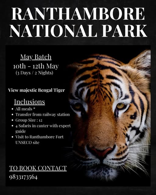 Ranthambore National Park tiger tour May 10-12.