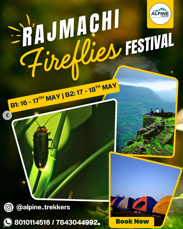 Rajmachi Fireflies Festival May 16-18, trekking adventure.
