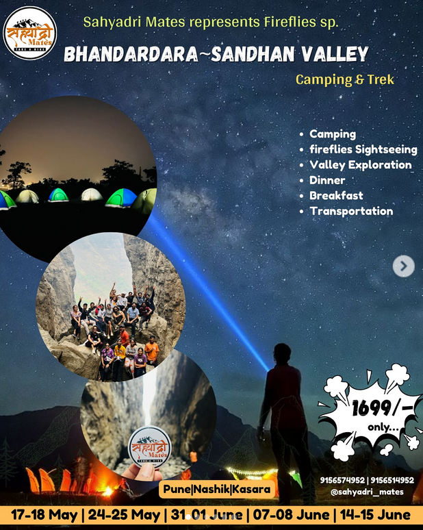 Camping and fireflies sightseeing in Bhandardara-Sandhan Valley.